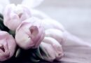 Rosen, Tulpen und Ranunkeln – die schönsten Blumen zum Muttertag