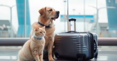 Katze und Hund mit einem Koffer auf dem Flughafen.