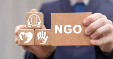 Bausteine mit NGO-Symbolik | Hilfsorganisation Schweiz